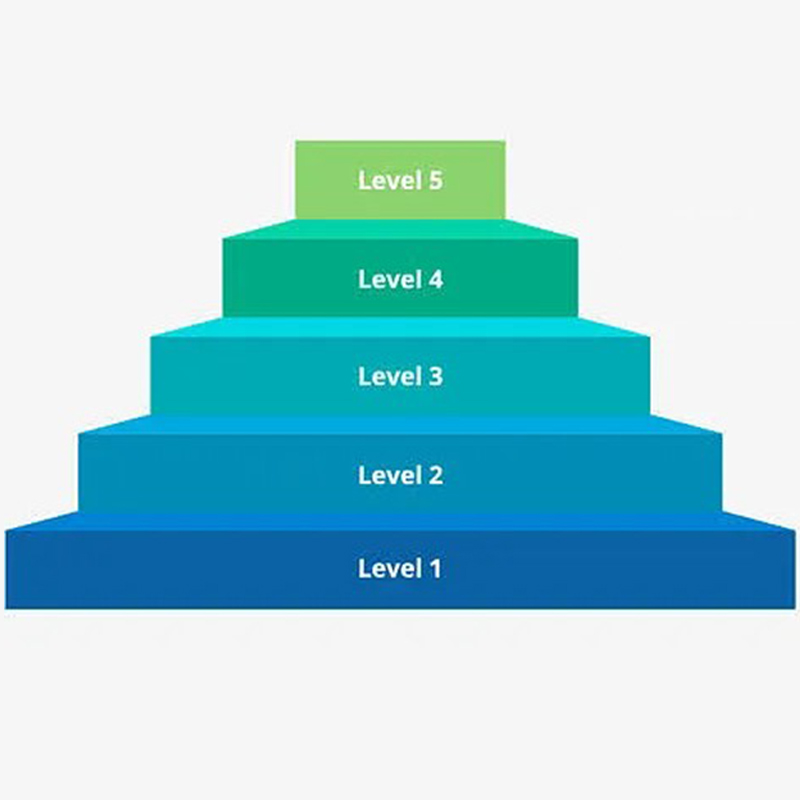 S&agrave;n v&acirc;n gỗ