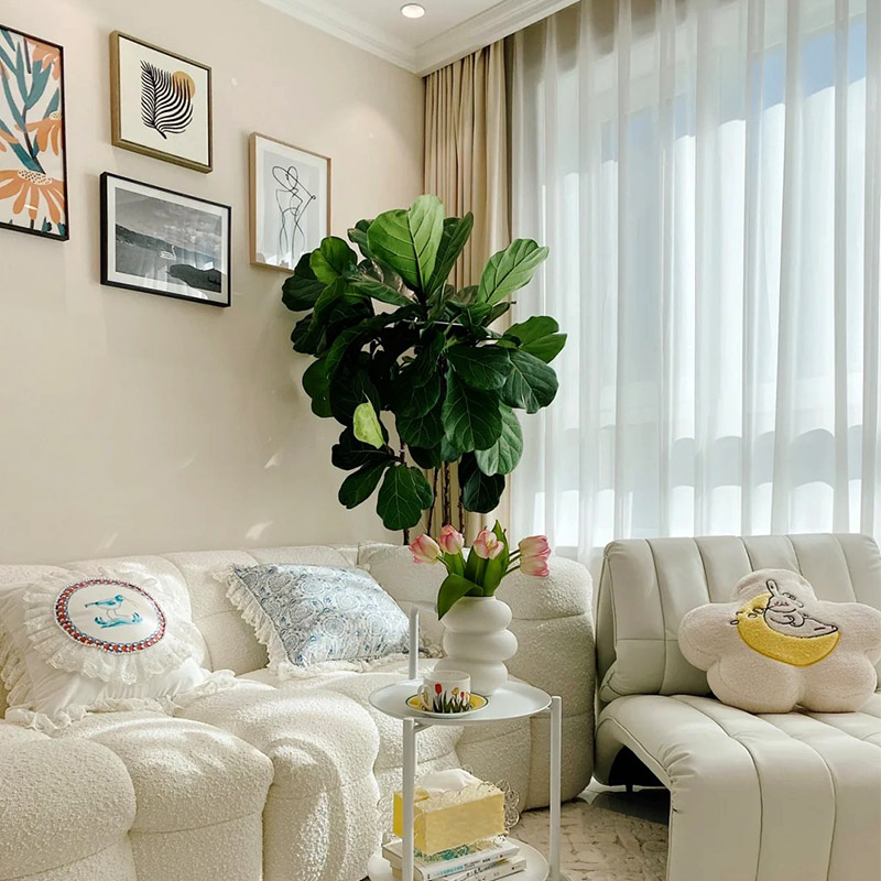 Ưu điểm và nhược điểm của bùn tảo cát là gì?