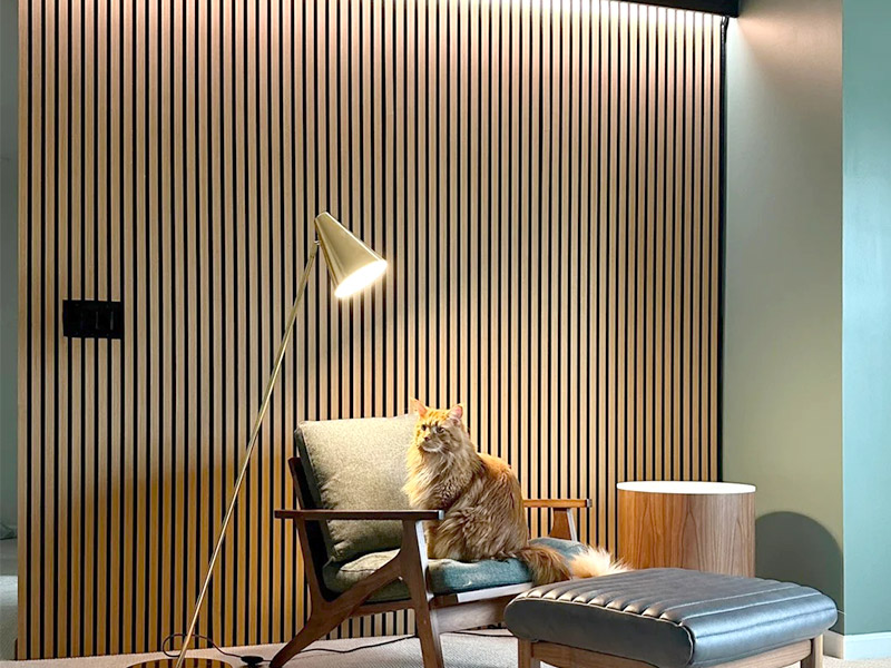 Có phải là một ý tưởng tốt để cài đặt các tấm tường bị trượt?